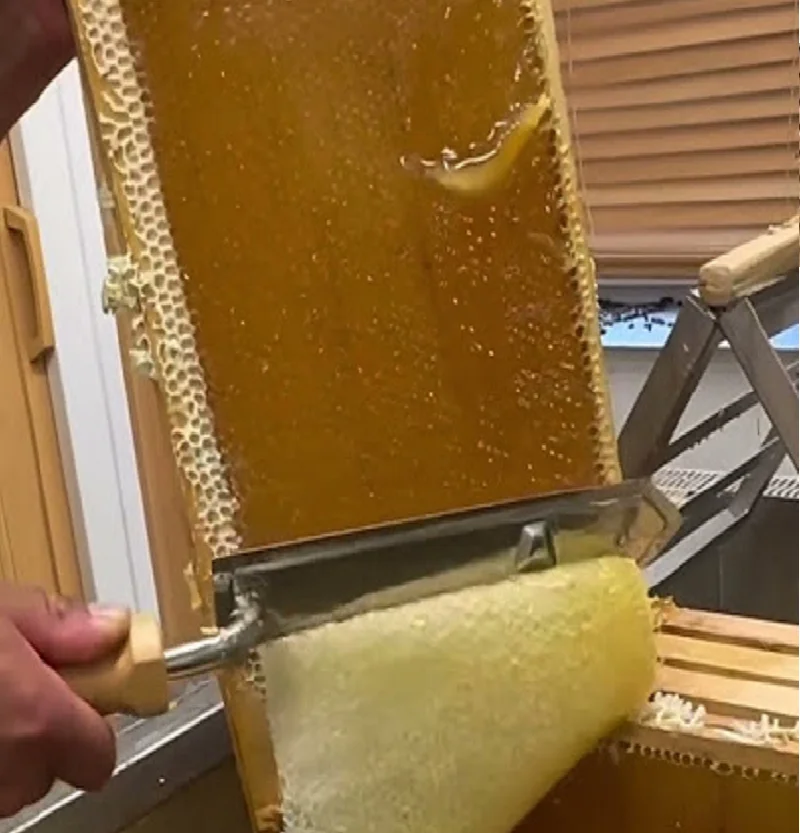 

Electric Uncapping Knife Honey Wax Scraper Professional Controllable Switch Honey Cutting Knife Honey Uncapping Cutter Tool