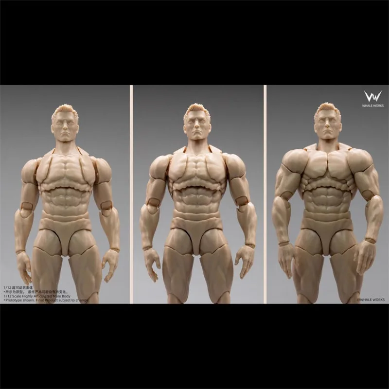 WHALE WORKS 1/12 スケール 男性超可動ボディ アクションフィギュア