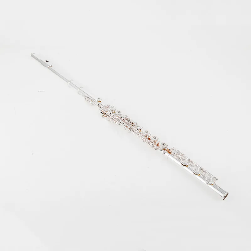 Thumbnail 2 - #20 New Flute Cases & Gigbags Arrivals