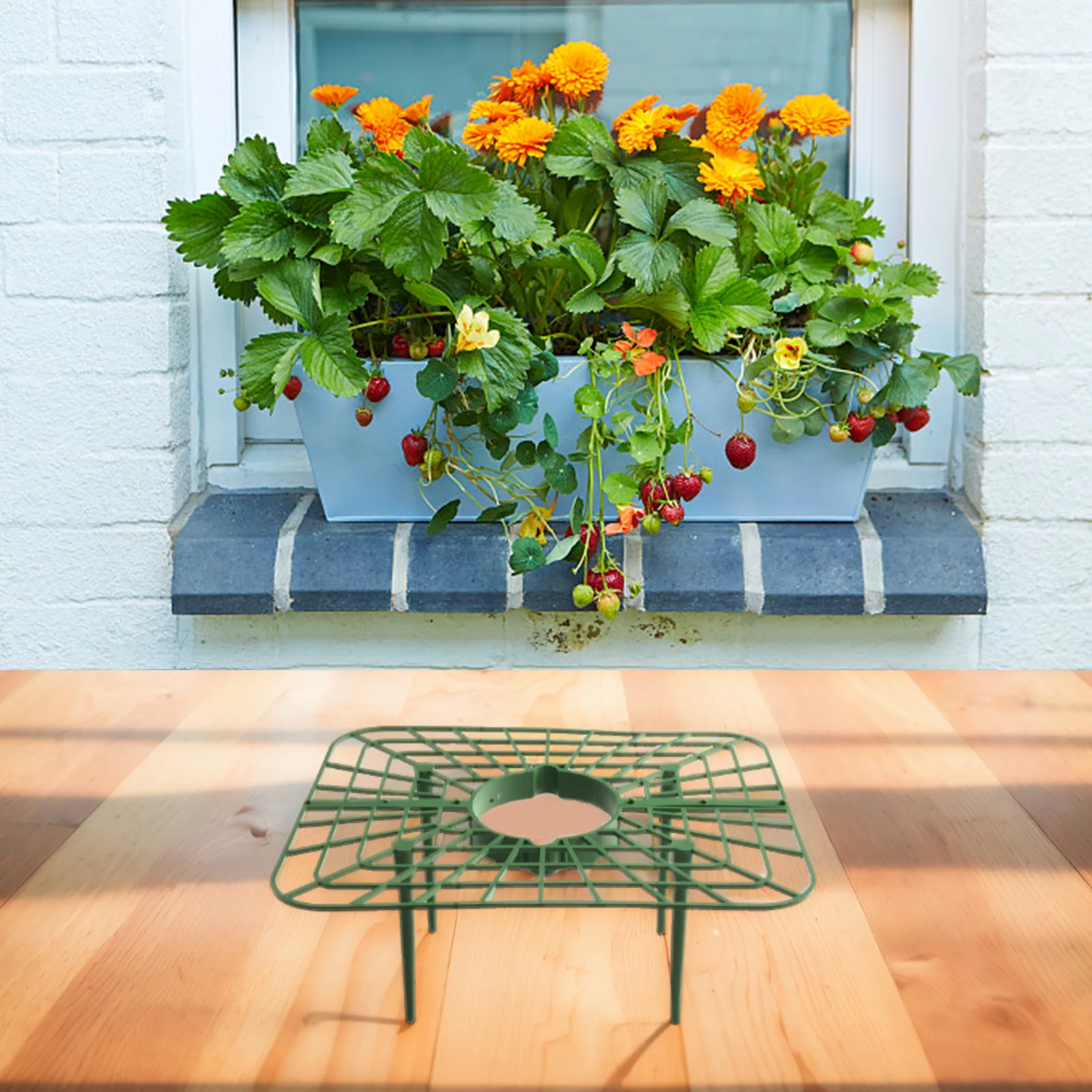 Strawberry Support with Quad-Stability Feet to Resist Tipping Under Wind or Heavy Fruit Load in Outdoor Growing Environments