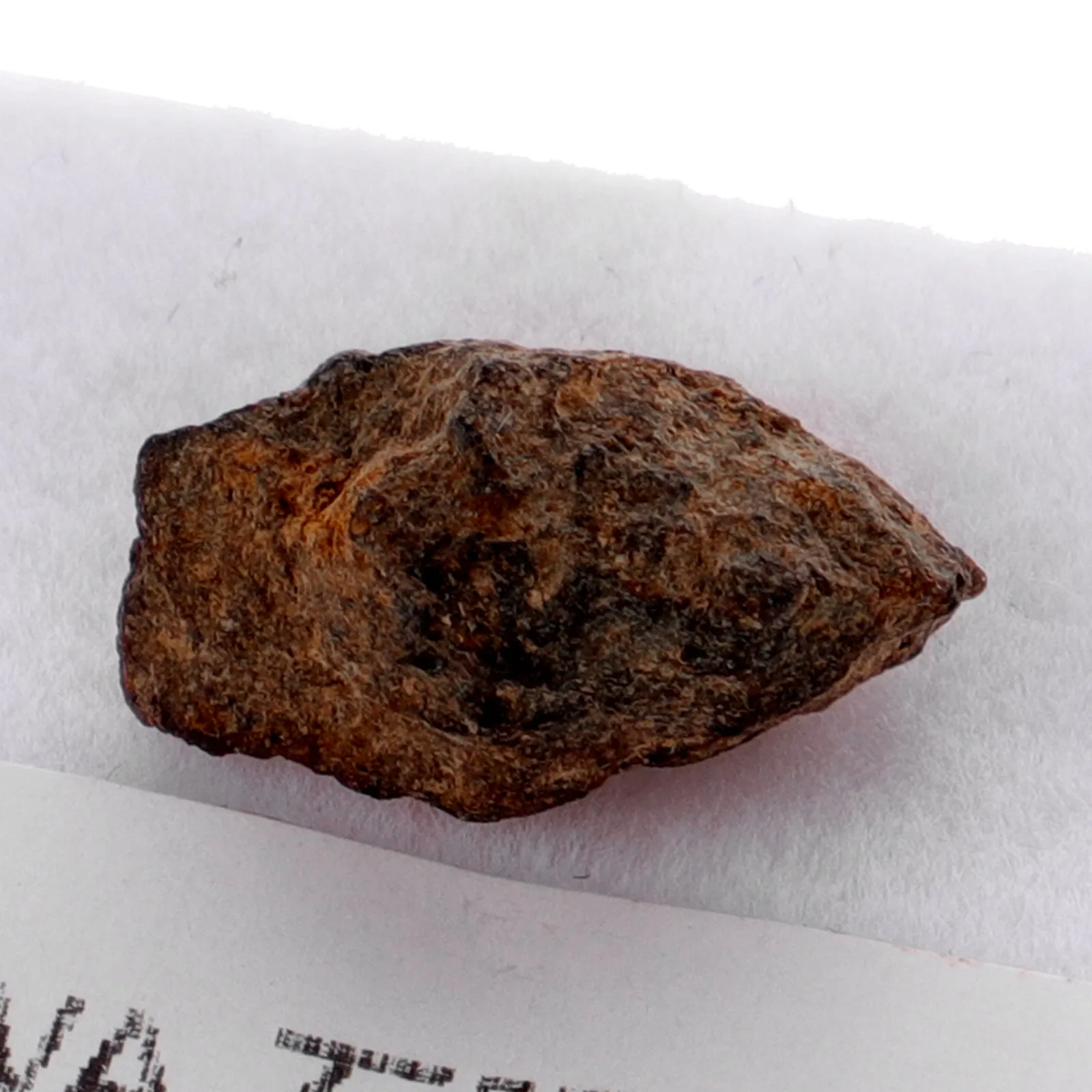 

Olive Decor Irregular Classroom Teaching Tool Unique Stone Specimen Meteorite Stone Specimen Science Education Rock Teaching
