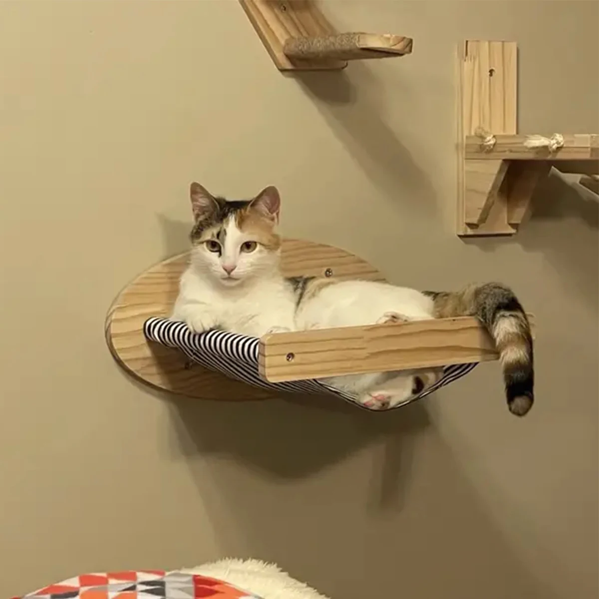 

Wall Climbing for Cats Rope Ladder Climbing Ladder Tree Cat Wood Cat Bed Indoor Cat FurnitureShipping From USA