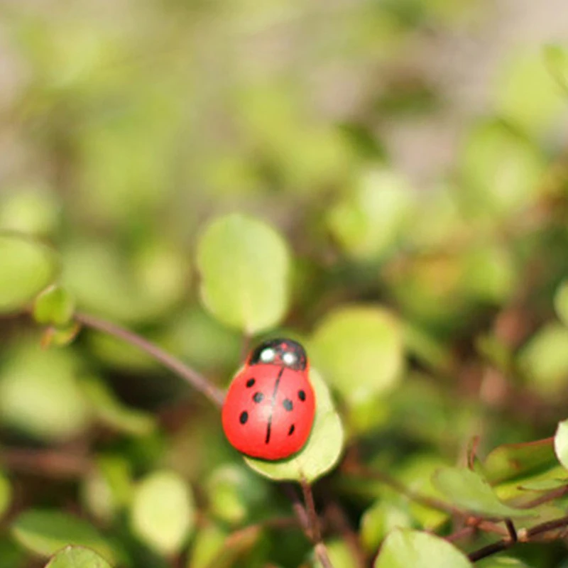 50/100Pcs Mini Wooden Ladybird Ladybug Self-adhesive Sticker Children Painted DIY Crafts Fairy Garden Figurine Miniature Home De