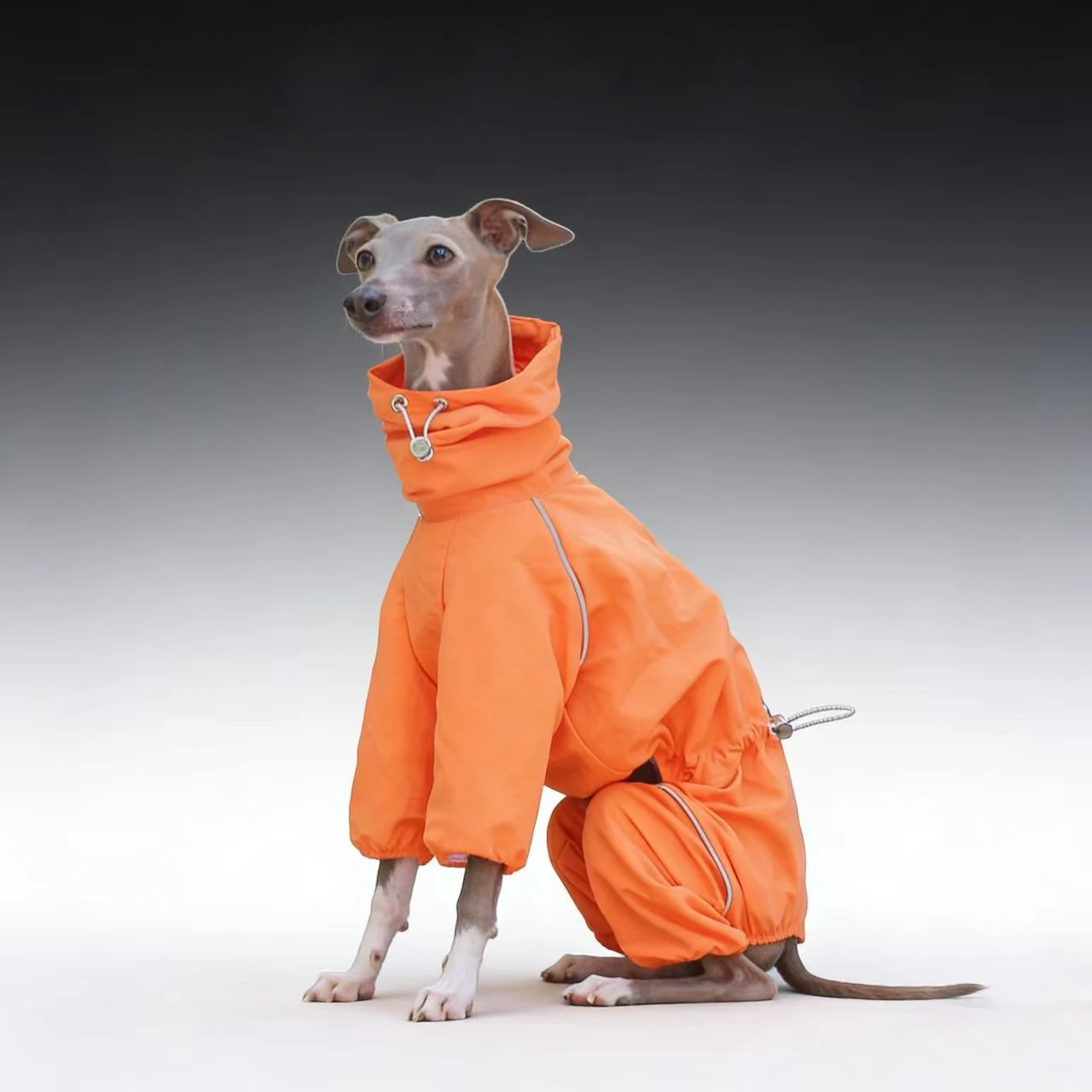 Cortavientos impermeable para Galgo Español y Whippet – Ajustable verano - imagen 3