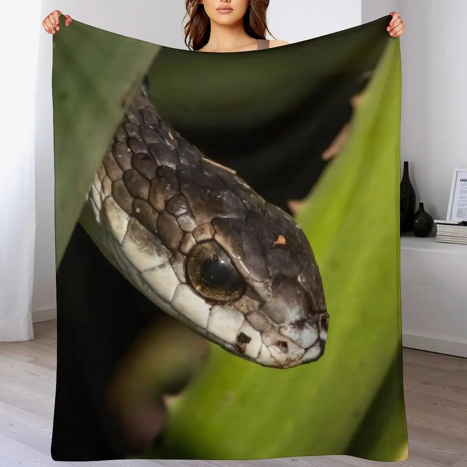 

Boomslang (Dispholidus typus) Throw Blanket Hairys Blankets For Baby Furrys Retros Blankets