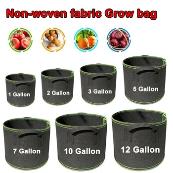 Non-Woven Grow Bags 1
