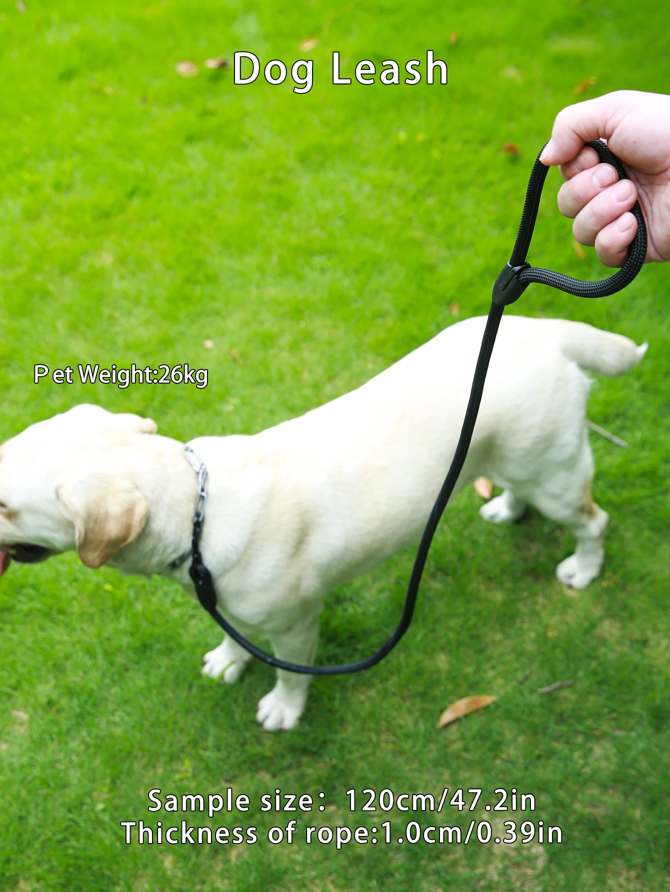 1PC Black Round Rope Pet Dog Leash Harness, High Quality, Strong and Durable