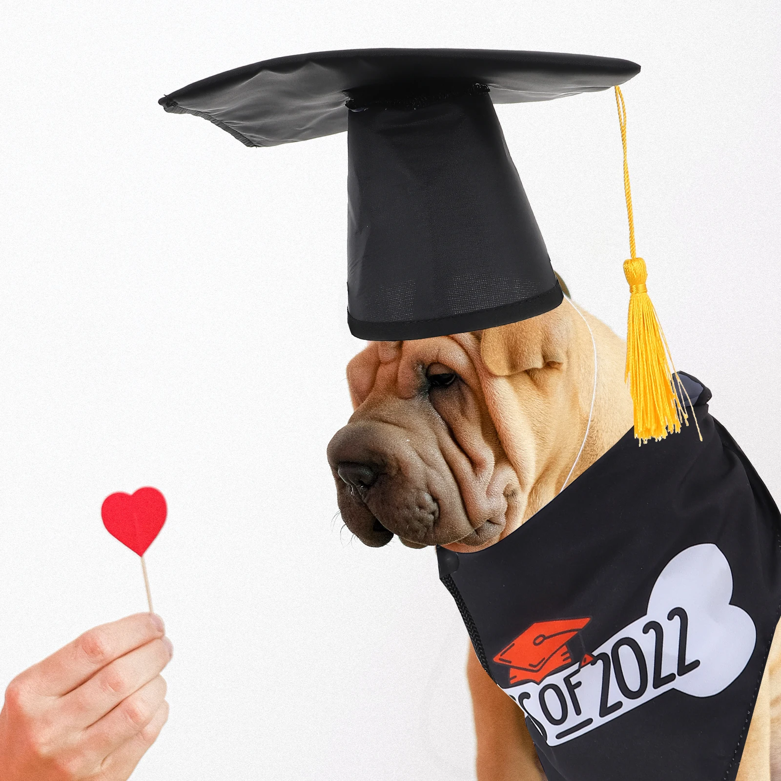 

Graduation Dog B Puppy Clothing Polyester Hat Decorative Bib Saliva Towels Pet Dress Up Dog Caps Birthday Party Supplies