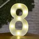 Thumbnail 31