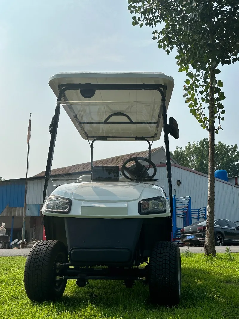 Customization Service Golf Push Cart Golf Carts Vehicles Electric Motor Small Golf Cart for Sale