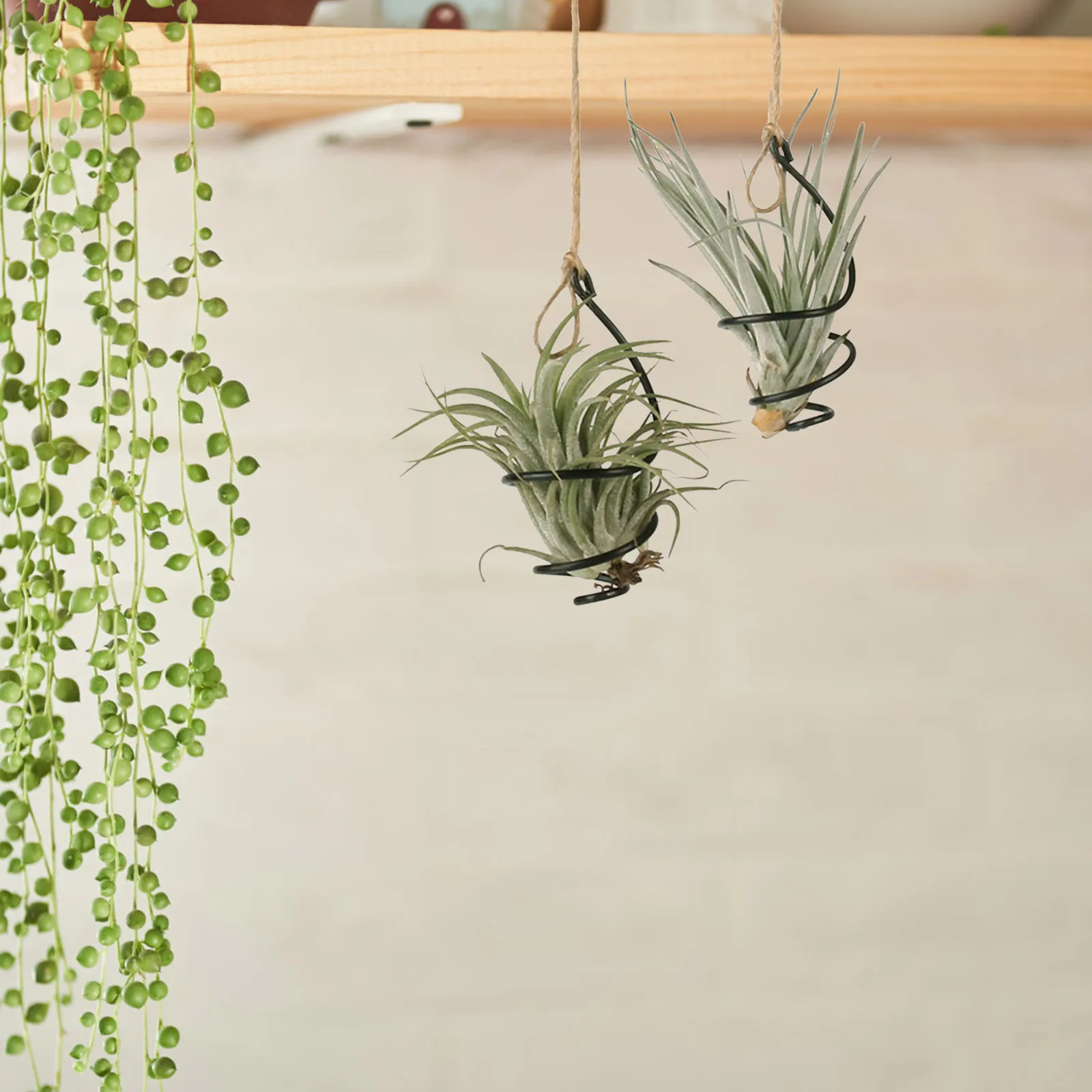

12Set Spiral Air Plant Holder Metal Hanging Bracket for Tillandsia Succulent Display Container No-Soil Indoor Decor Home Office