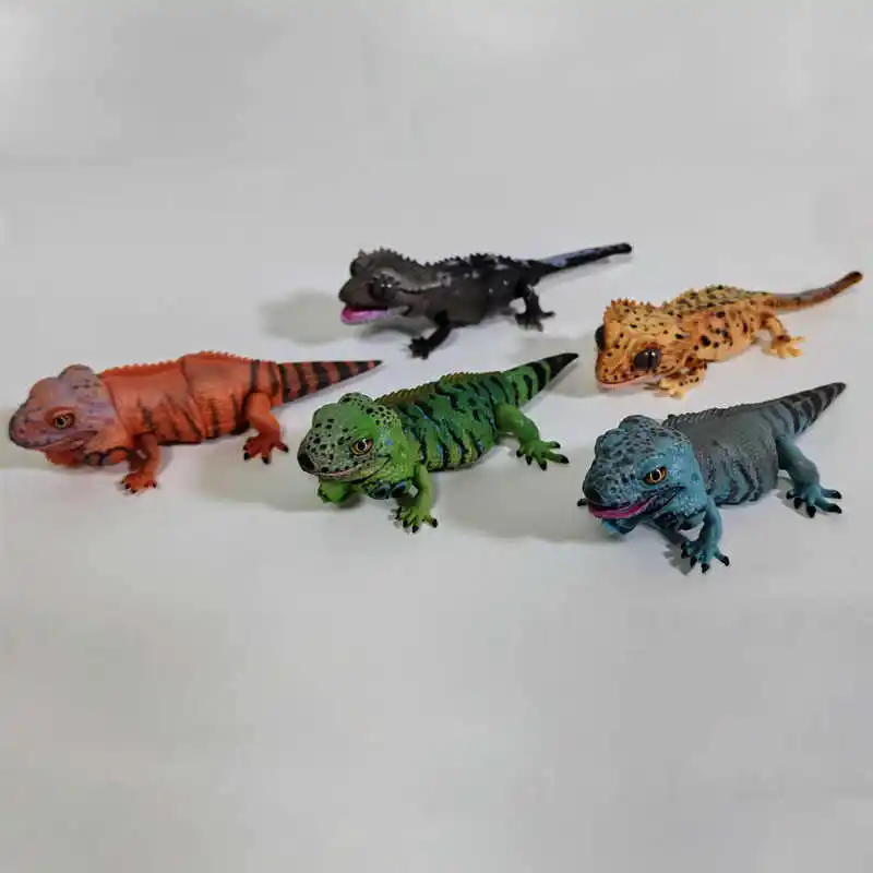 بانداي غاشابون خريطة بيولوجية كبيرة أبو بريص سحلية الأزرق اللسان جلود محاكاة المنقولة الحيوان عمل نموذج لجسم اللعب