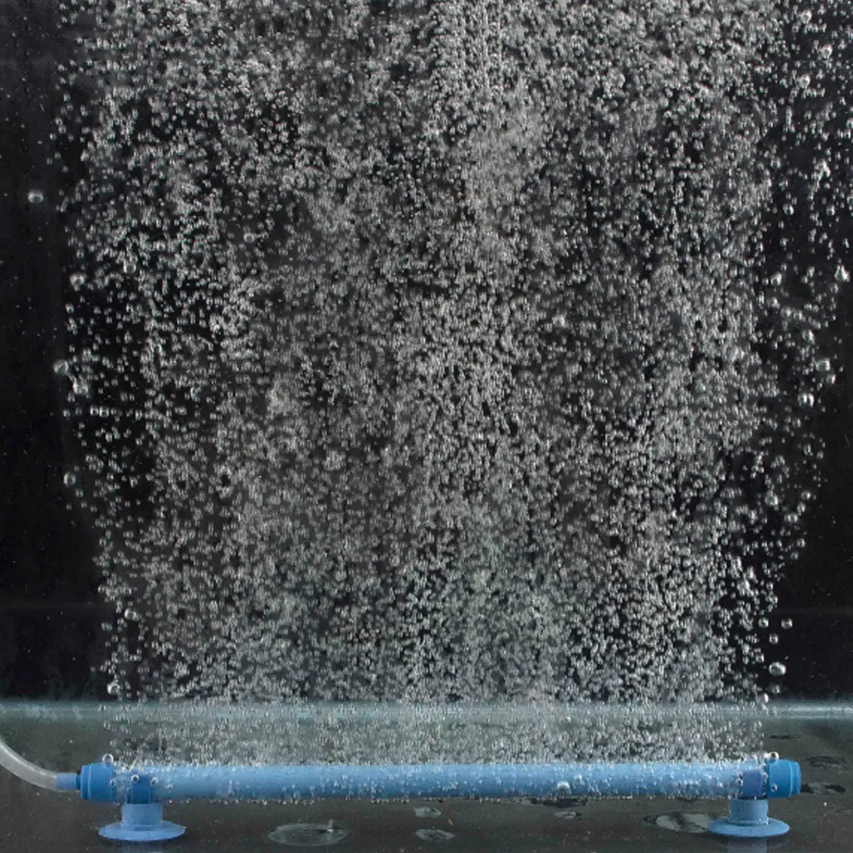

7 Inch Air Stone for Fish Tank Aquarium Oxygenation Blue 178Cm Aerator Tube with Suction Cups Fine Bubbles Diffuser