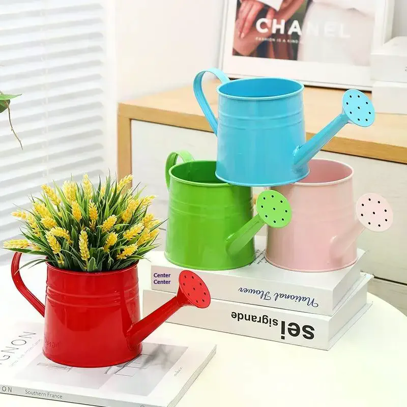 New Metal Watering Can Garden Flower Kettle Mini Small Spraying Pot Sprinkle Large Capacity Kids Adult
