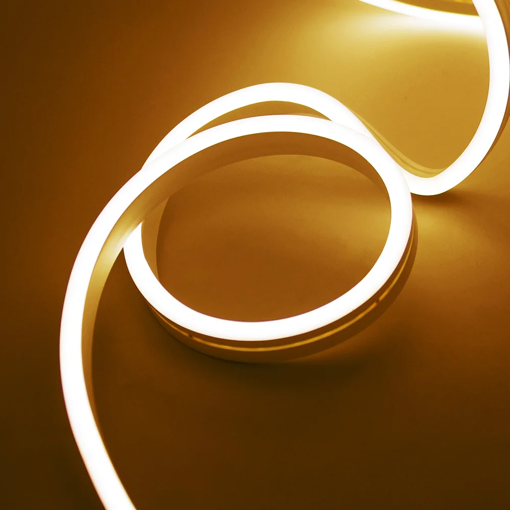 DC 12 V 24 V LED-Neonstreifen-Licht, Neonschild, wasserdichte Silikon-Lichterkette, flexible Lampe, Heimdekoration mit 2-poligem Draht, 9 Farben – Detail 12