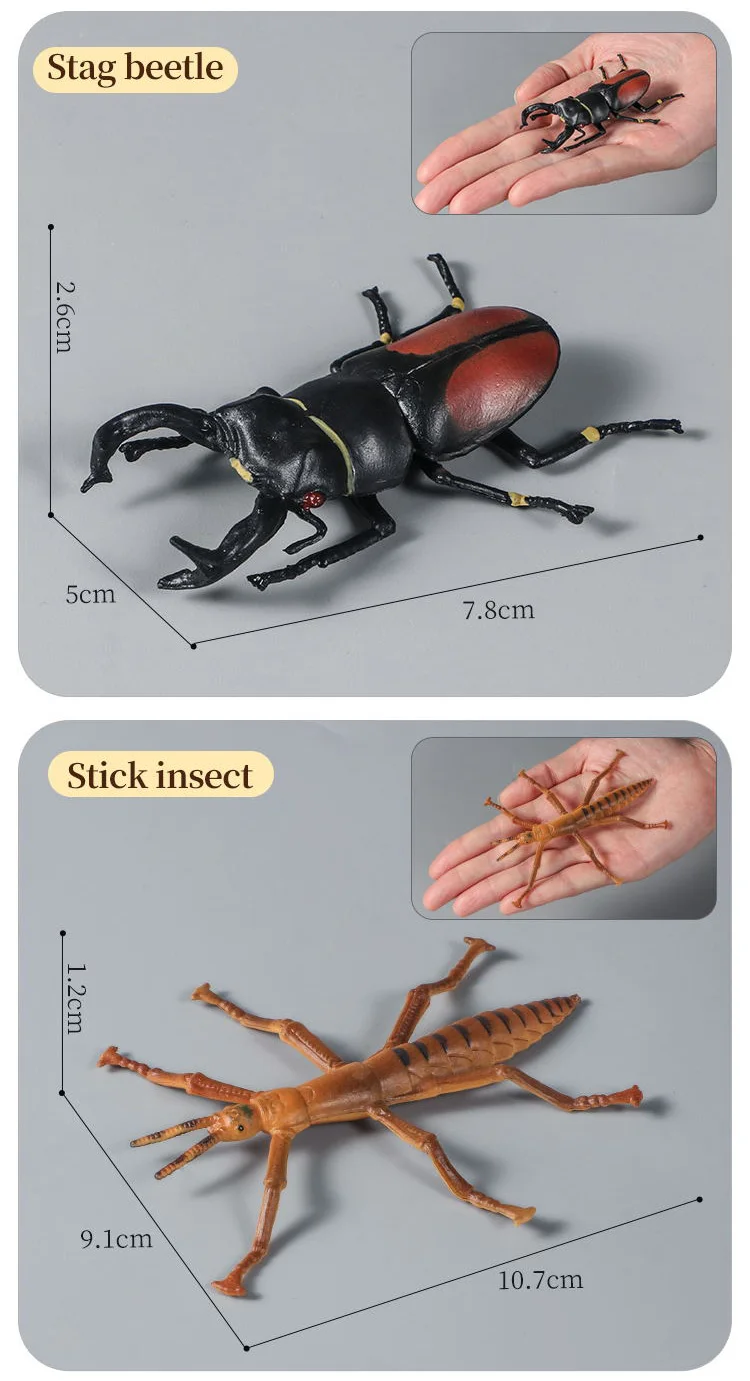 Pädagogisches Insekten-Tiere-Modell-Spielzeug-Set mit Schmetterling, Biene, Libelle, Mantis, Ameise, Schnecke, Actionfiguren für Kinder, Sammlung, Dekoration – Detail 10