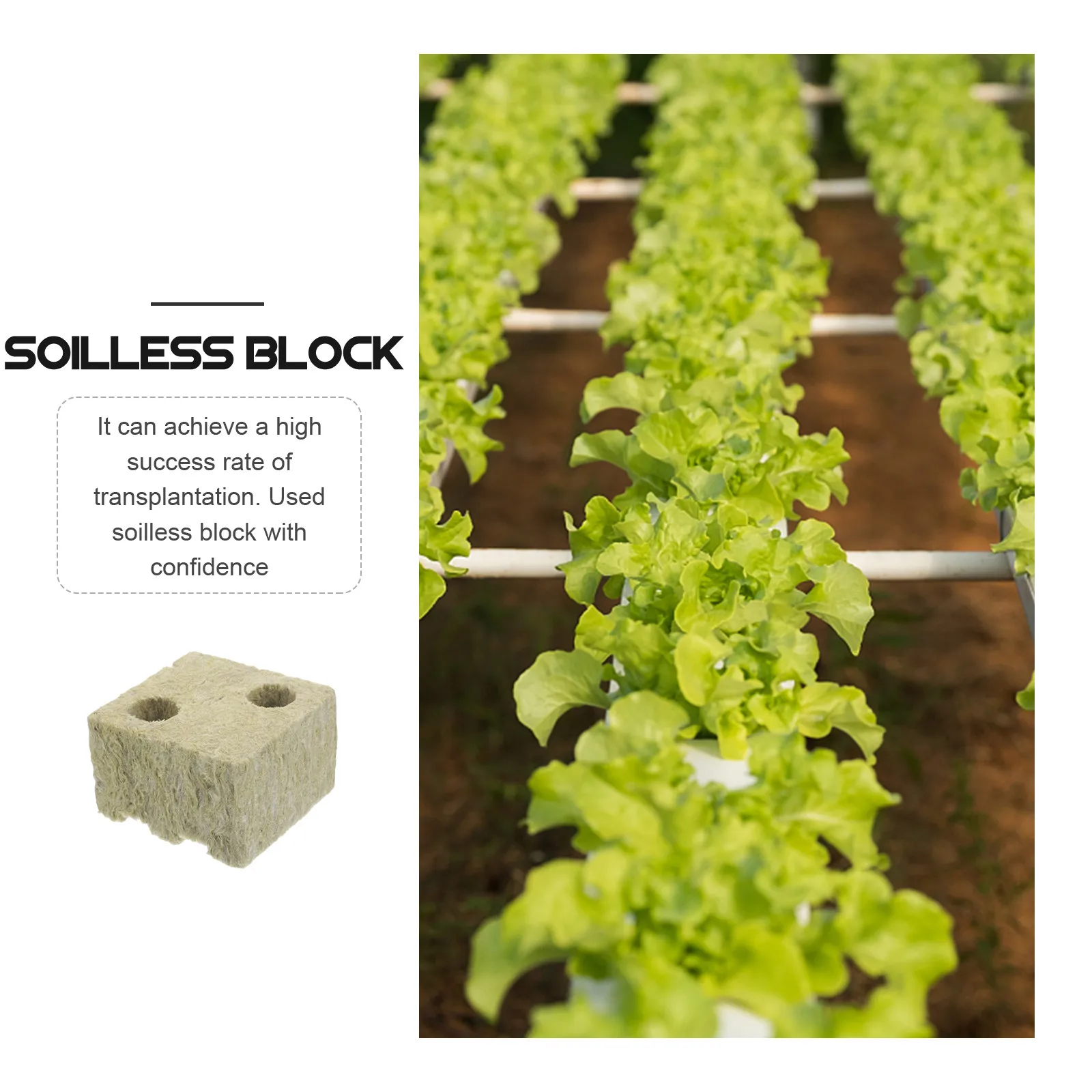 

5 шт. кубиков для выращивания растений с высокой степенью успешности, для гидропонных систем и садоводства