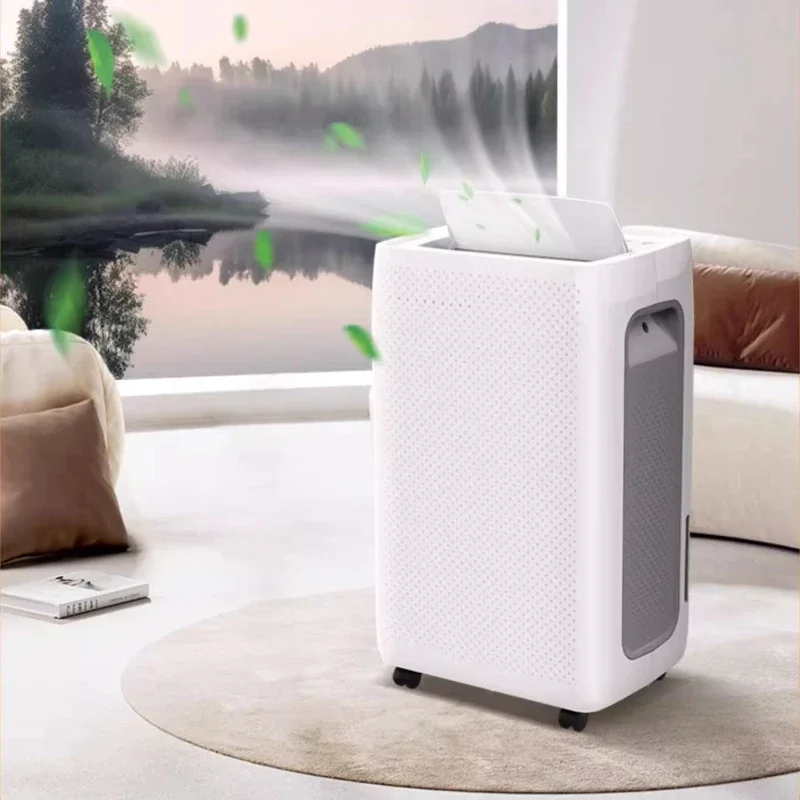 مزيل الرطوبة المنزلية سعة كبيرة خزان المياه مزيل الرطوبة ضوء لهجة غرفة نوم نمط جديد توقيت وظيفة مزيل الرطوبة الهواء 220 فولت