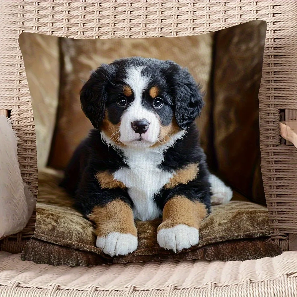 Kissenbezug mit Berner Sennenhund-Welpen-Motiv, niedliches Hunde-Design, Polyesterstoff für Sofas, Betten, Autos, Wohnzimmer-Kissenbezug