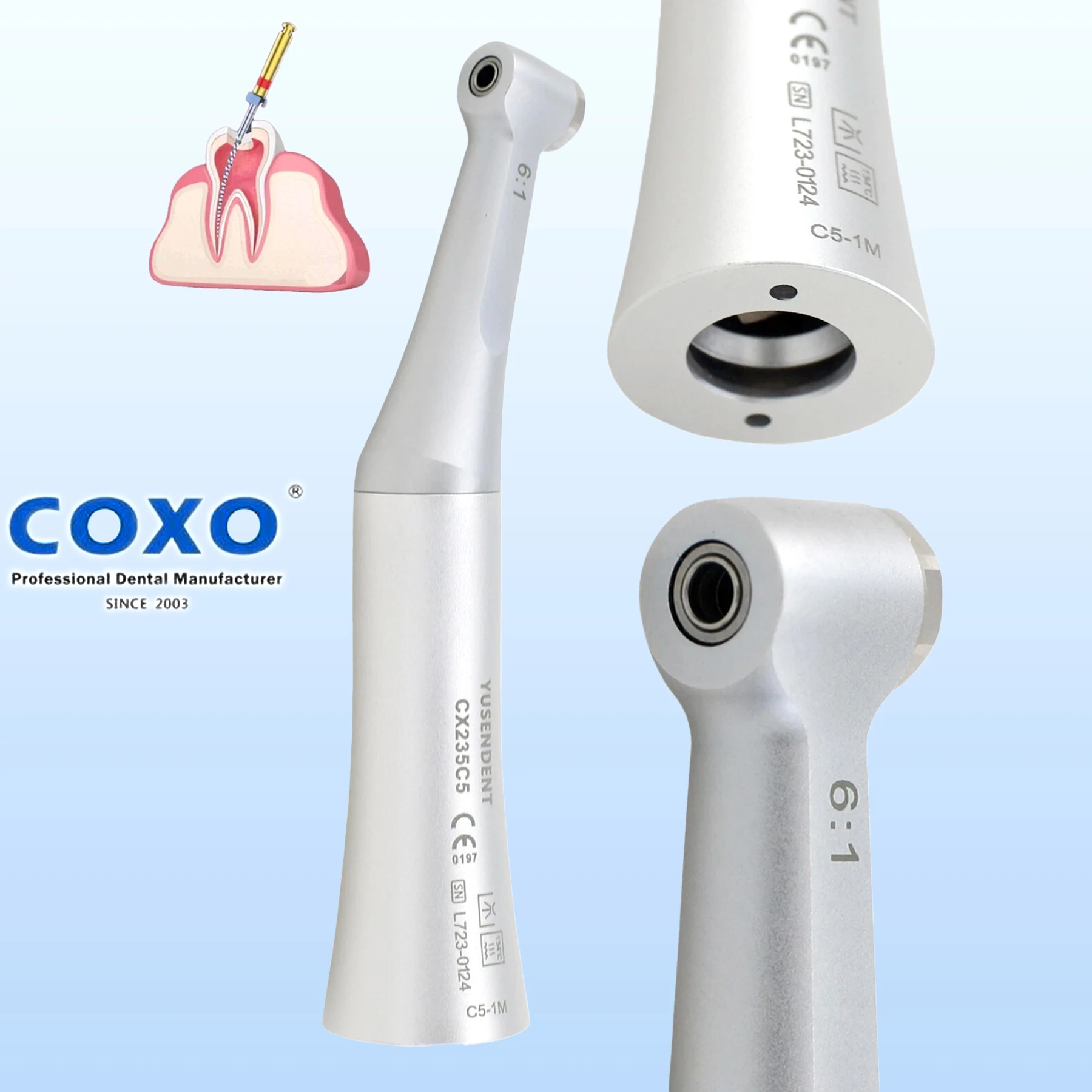 Coxo Endo Handpiece…