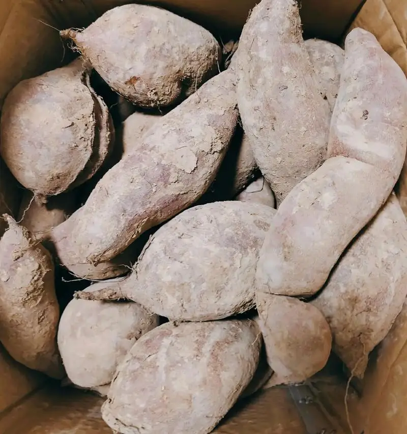 6500 мАч 14,4 В робот-пылесос, сменные аккумуляторы для Ecovacs Deebot X1 Ozmo T5 T8 T9 950 DX9G DX93 DX96 DLX11-54