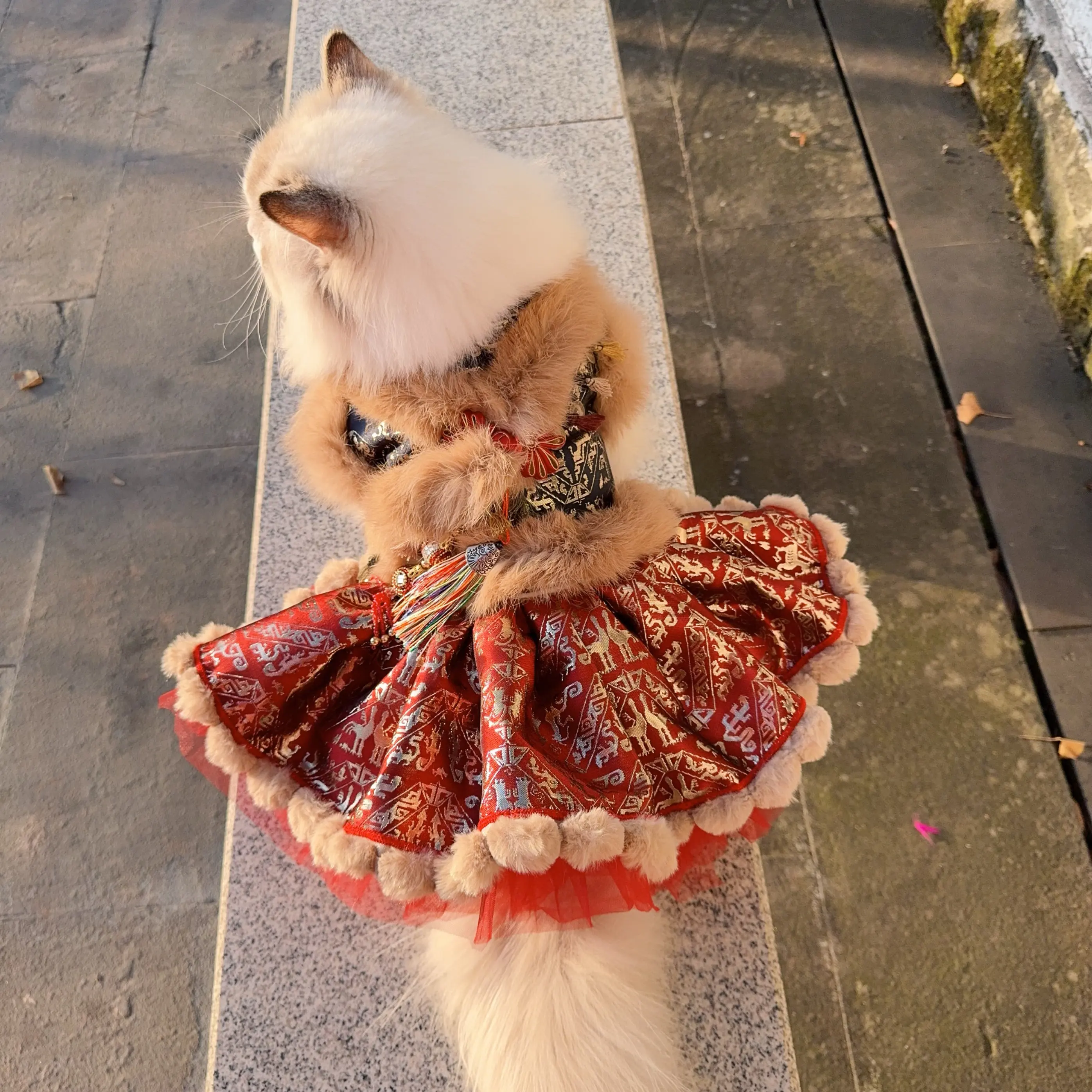 

Ретро-коричневое плюшевое платье-пальто для собак в этническом стиле, роскошное, ручной работы, с вышивкой и принтом, для маленьких и средних собак и щенков