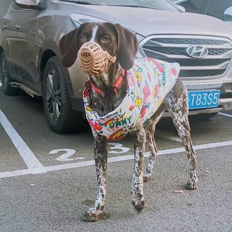 Casaco impermeável com fivela de tração para cachorro grande, jaqueta ao ar livre, doberman pinscher, golden retriever, pet coat, moda, outono,