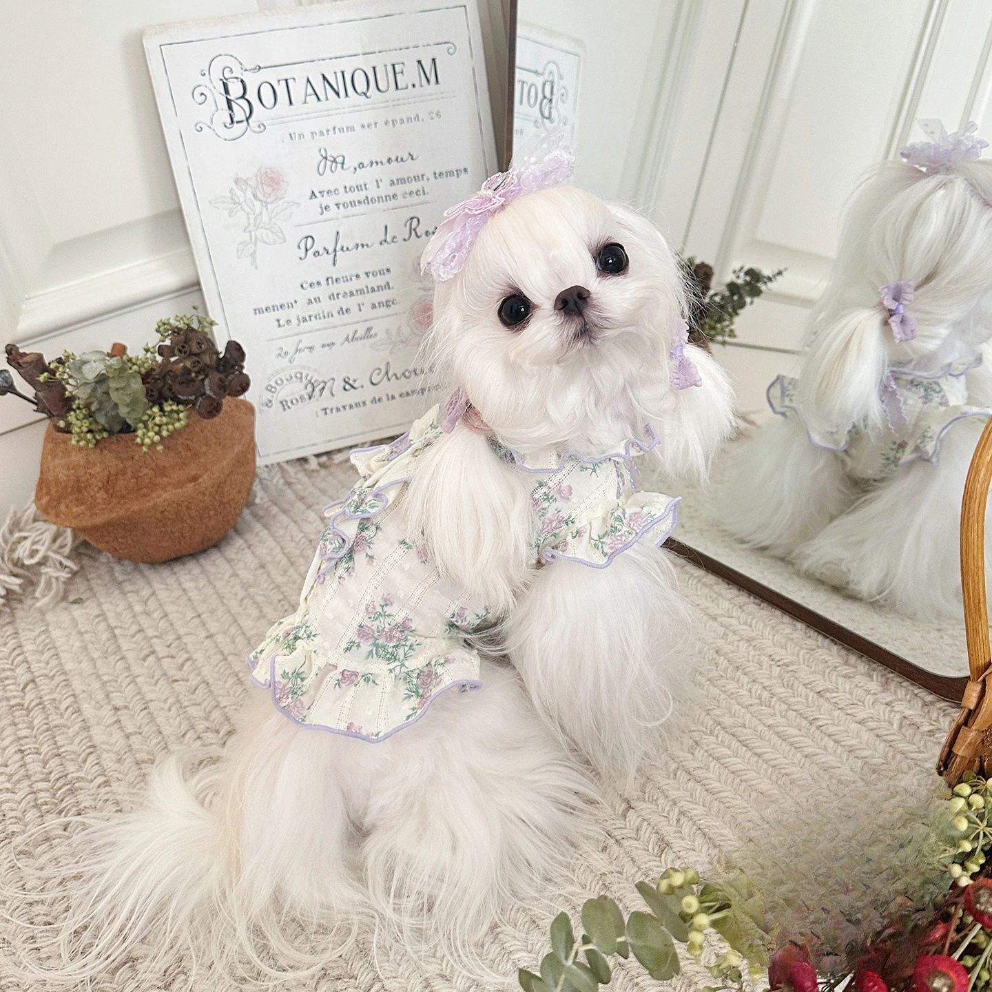 Vestido floral de verano para perros pequeños con chaleco de encaje