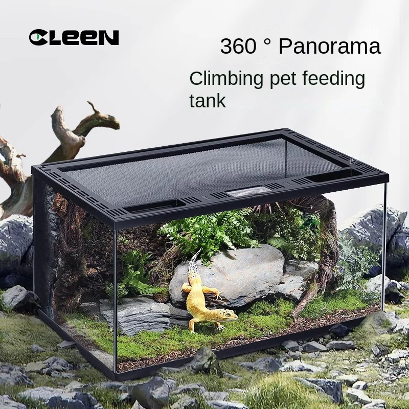 Climbing Pet Feeding Box Palace Guard Lizard Horned Frog Hermit Crab Yellow Edge Turtle Tank Snake Glass Rainforest Tank