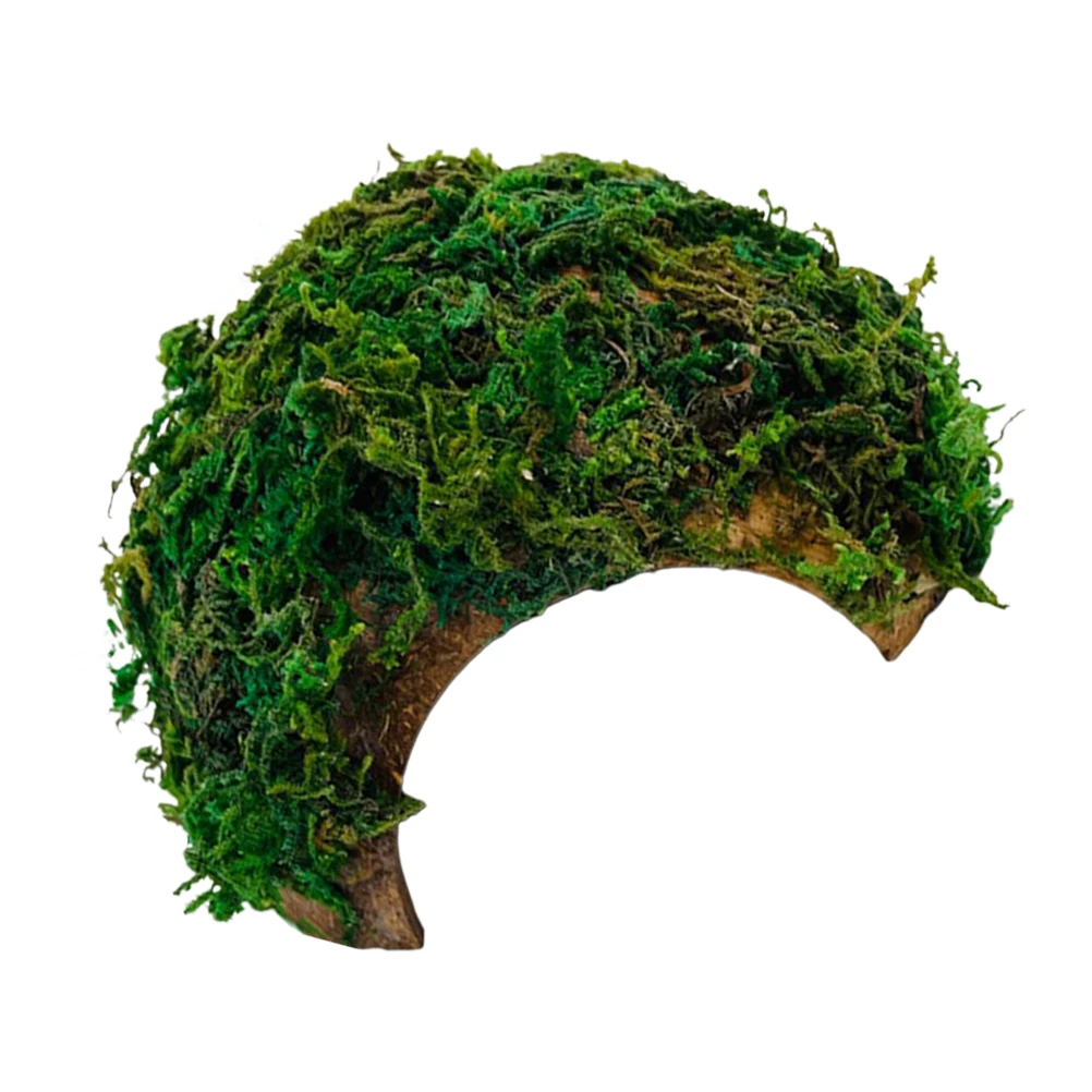 

Extra Large Coconut Shell Reptile Hideout House Terrarium Cave Decor Gecko Hides Caves Reptile Shelter Pet Supplies Hamster
