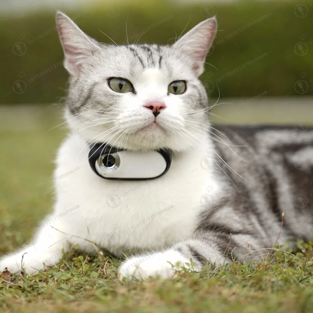 

Automatic pet collar camera, small pet cat and dog sports camera, sports portable recording vlog