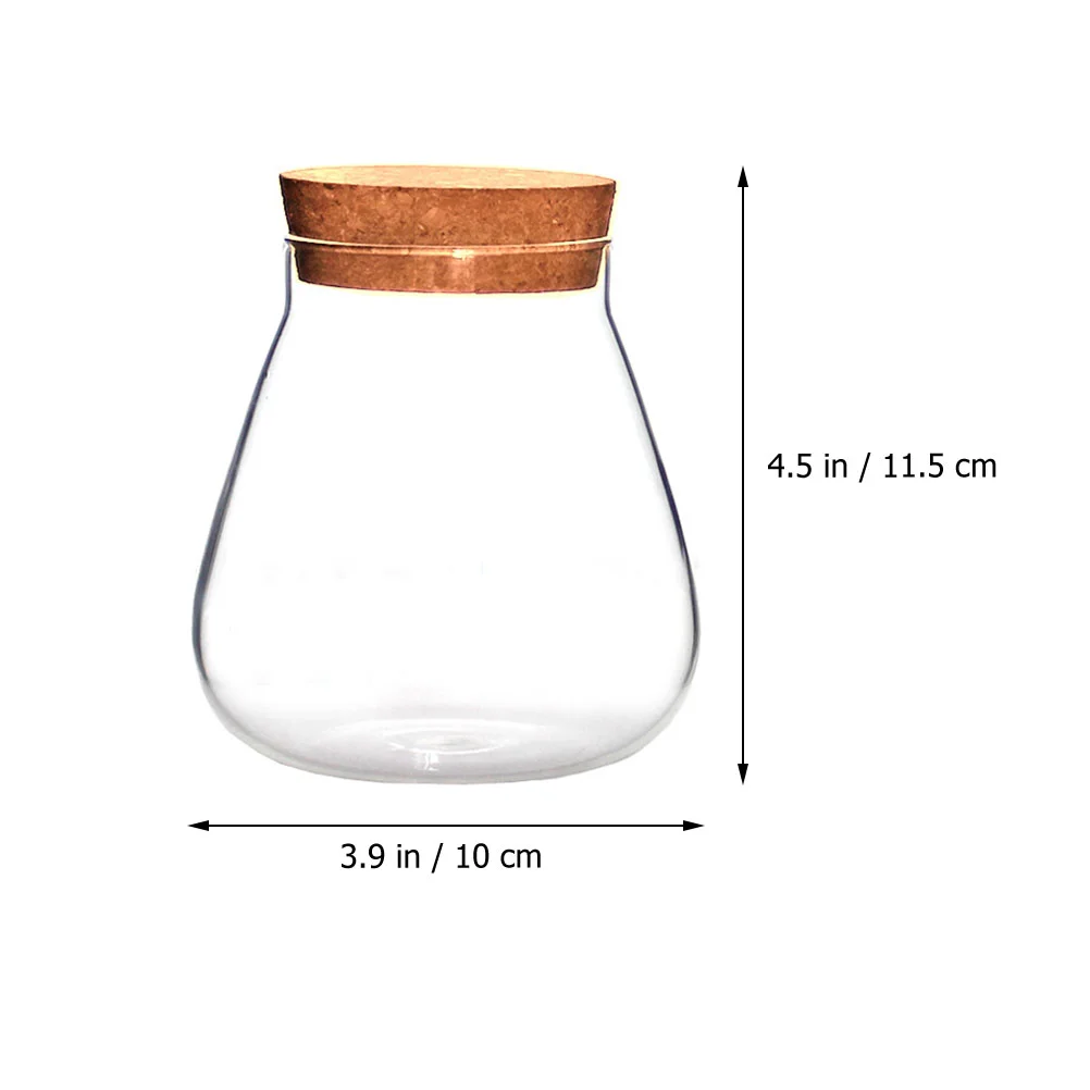 Cork Glass Bottle Snack Containers Succulent Plant Pot Storage Display Moss Clear Terrarium High Borosilicate Miss Vase