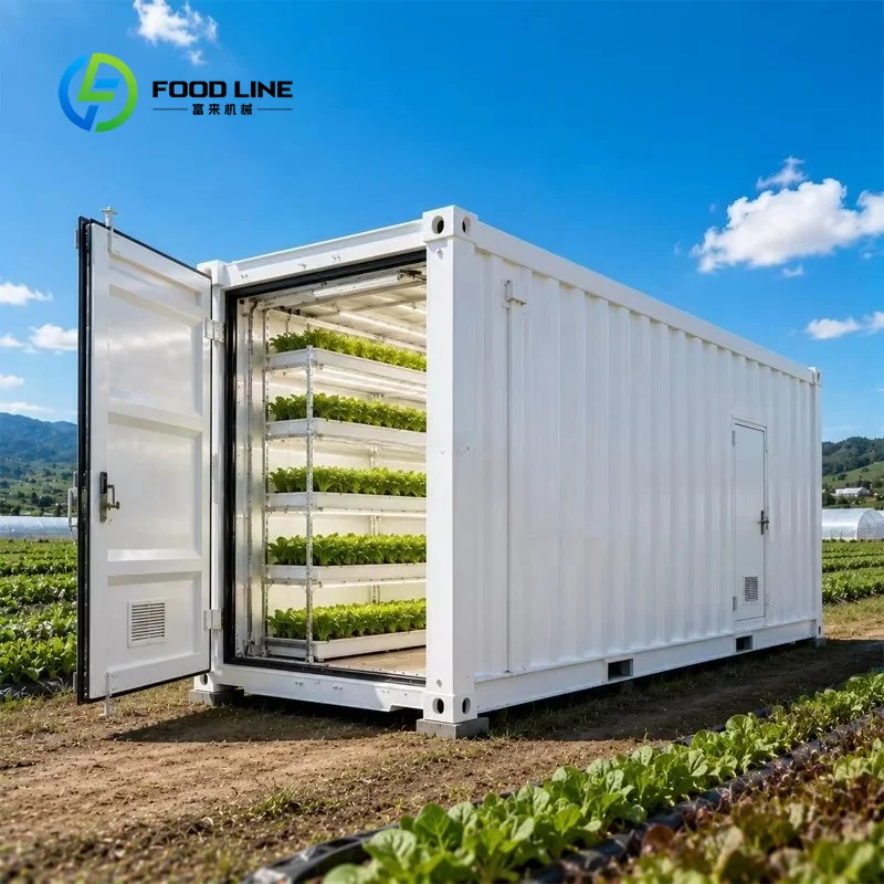 Hydroponic Container Farm for Commercial Leafy Greens Growing Vertical Agriculture Smart Rolling Bench System Turnkey Project