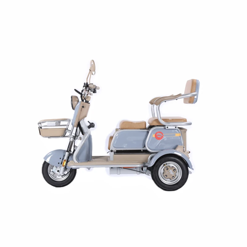 

The Three Wheeled Electric Tricycle Is a Versatile Barrier Free Vehicle for Leisure and Commuting Featuring an Open Body