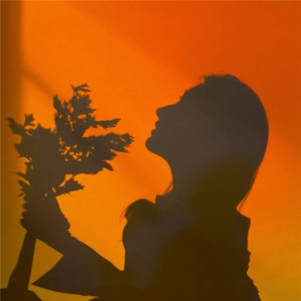 Mood Lighting RGB Sunset Lamp Adjustable Brightness RGB Lighting LED Projection Lamp Photography Lighting