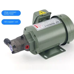 380/220V Top-10A/11A/12A/13A Cycloid Pump Triangular Lubricating Oil Pump Head Motor Oil Gear Oil Pump Triangle Lubrication Pump