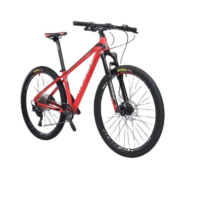 

New 10 Speed Mtb 29 Inch Mountain Bike for Man, Alloy Mountain Bike 29er Mtb Bicicleta
