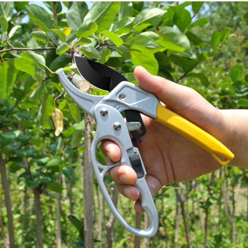 SK5 Alloy Steel Pruning Shears with Titanium Plating, Ergonomic Quick-Cut Labor-Saving Spring for Garden Fruit Harvest