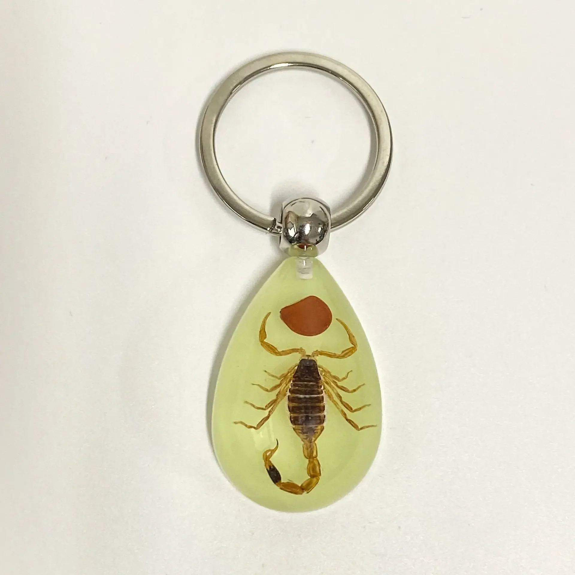 6 stuks insect specimen sleutelhanger, kunstmatige epoxyhars auto hanger, kantoorornament, insect amber hanger woondecoratie