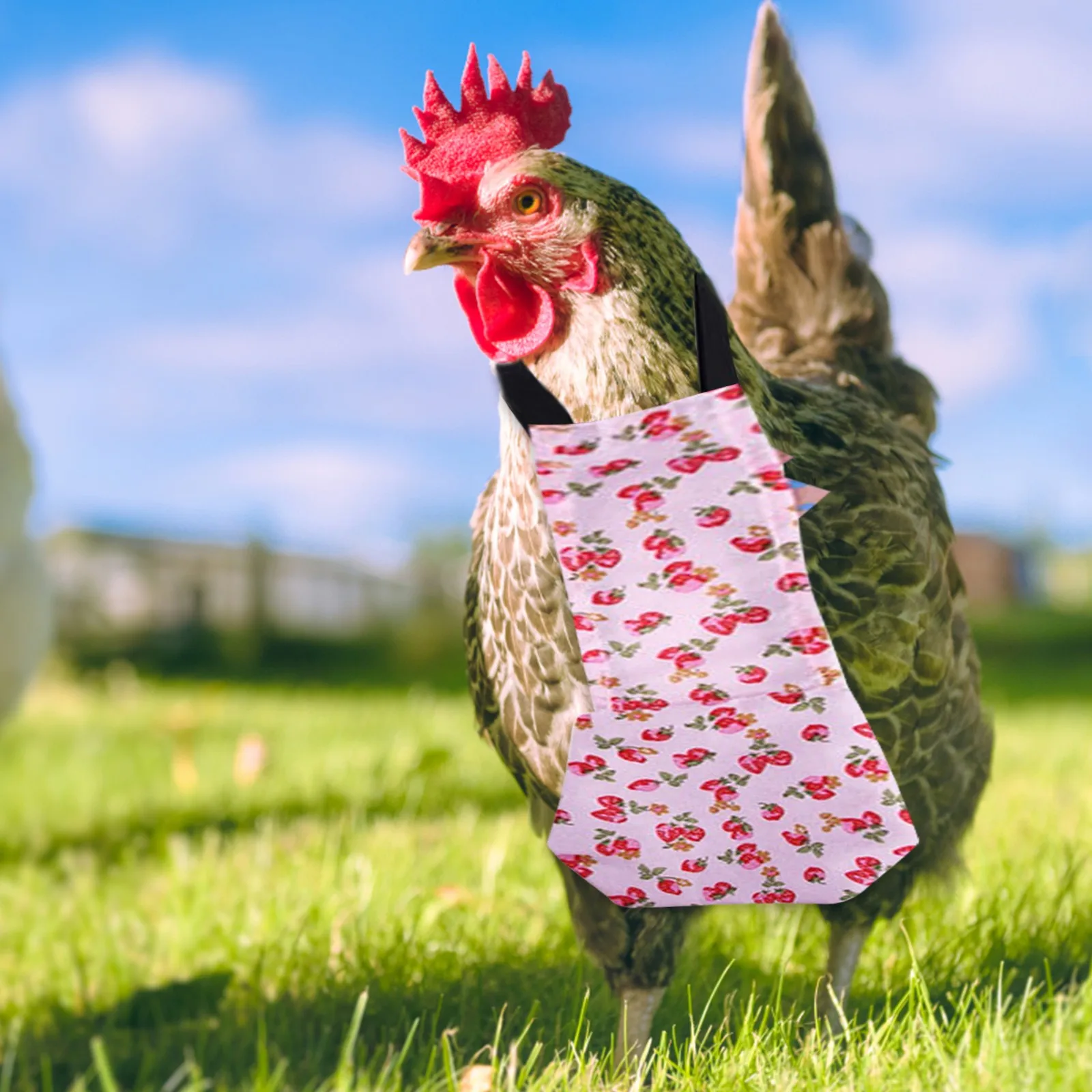 Pet Diapers Print Pattern Bow Clothes Pet Supplies Diapers Pet Accessories for Ducks Geese Chickens or Other Birds 1pc