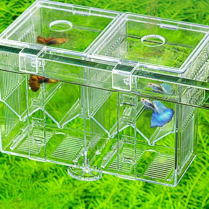 Breeding Tanks for Aquarium Small Fish Isolation Hatchery Box Spawning Box