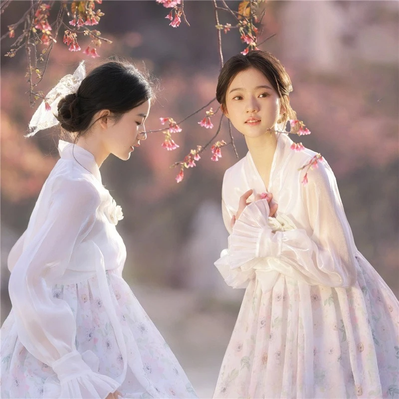 new-women-yanji-princess-hanbok-elegant-court-style-costume-stylish-atmosphere-outfit-for-themed-portrait-photography-photoshoot