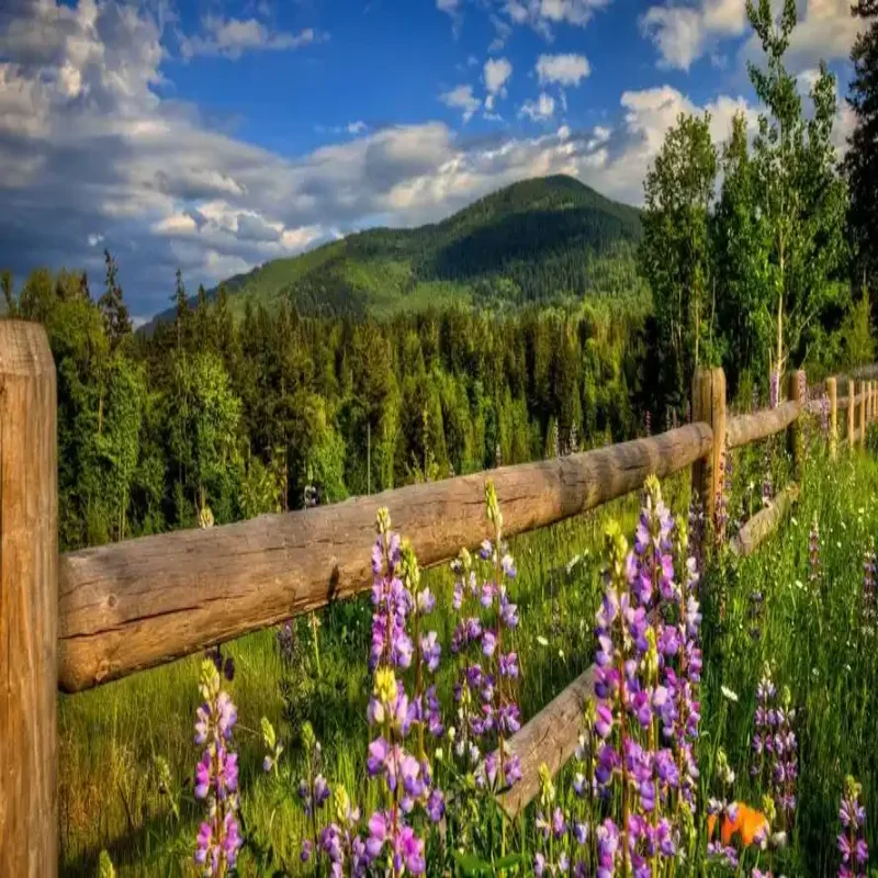 

Electric Tailgate For Audi Q5 2018-2022 Intelligent Tail Box Door Power Operated Trunk Decoration Refitted Upgrade Accsesories