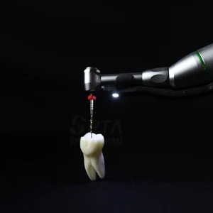 SPTA DENTAL ENDOモーターコードレスLED 16:1コントラ角度低速ハンドピース歯科治療治療 10ベストセールスデンタルハンドピース-6