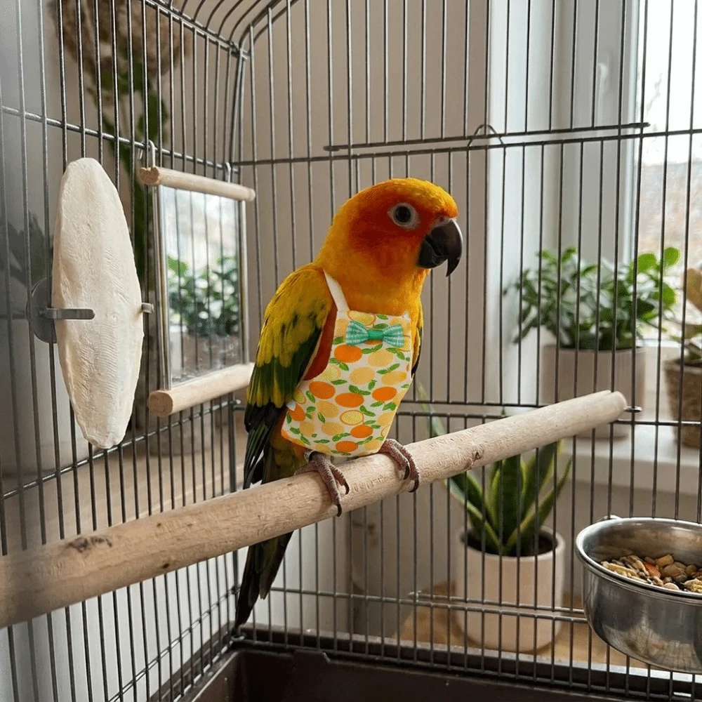 Adjustable Pet Parrot Diaper Breathable Fruit Pattern Bird Nappy with Bowtie Soft Fabric Parrot Flying Clothes Cage-Free Time