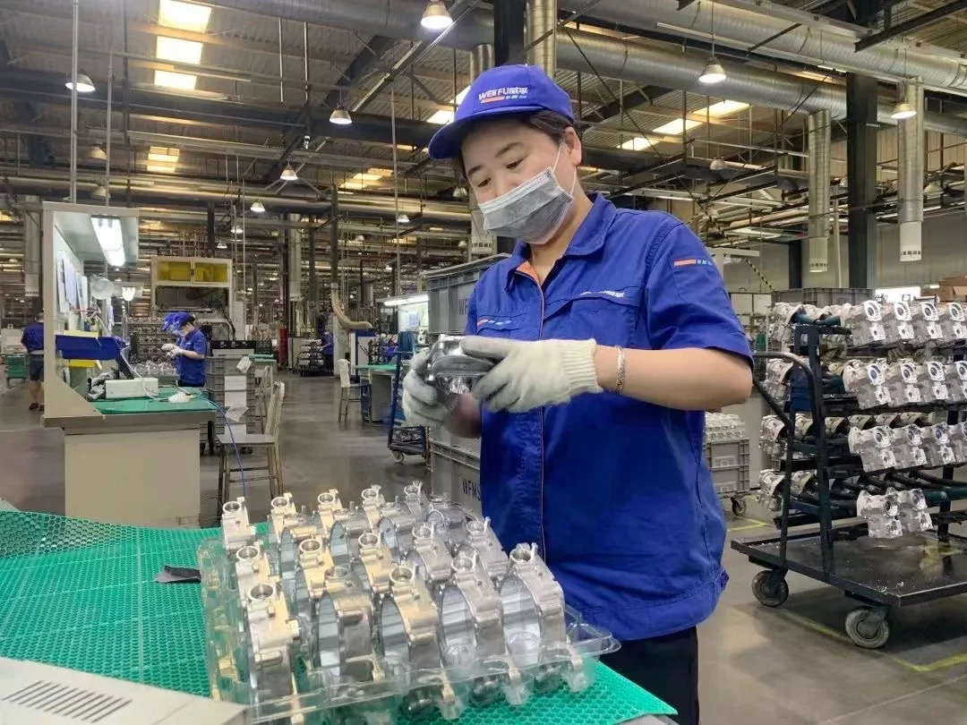 Echte Kraftstoffeinspritzpumpe 0445020067 Common-Rail-Einspritzpumpe 65.10501-7005 0445020128 für Dae Woo Doo San Motor