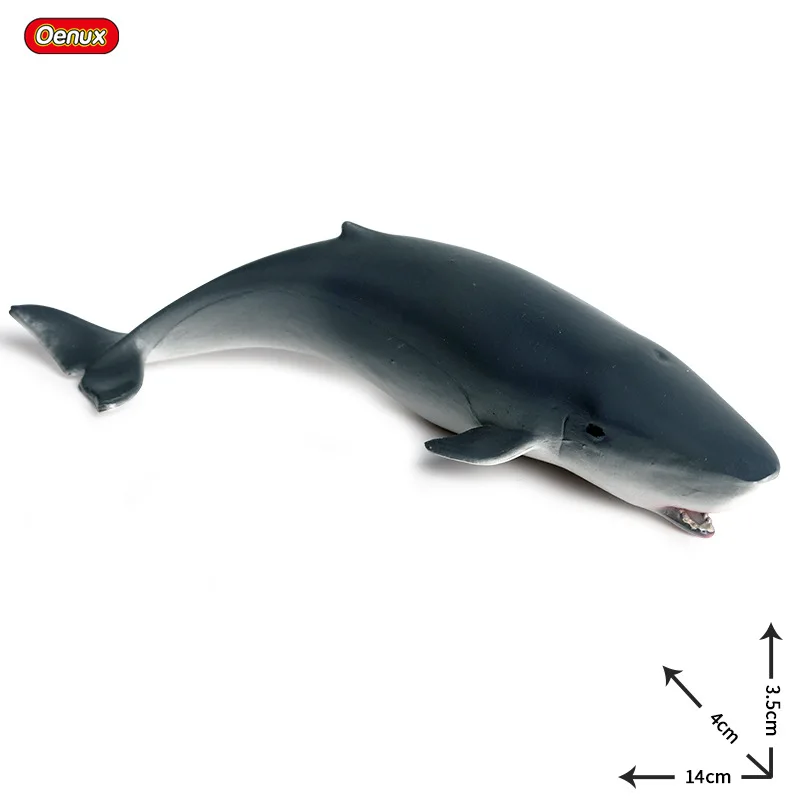 Children\'s solid static simulation marine animal model toy whale shark sperm whale plastic animal model ornaments