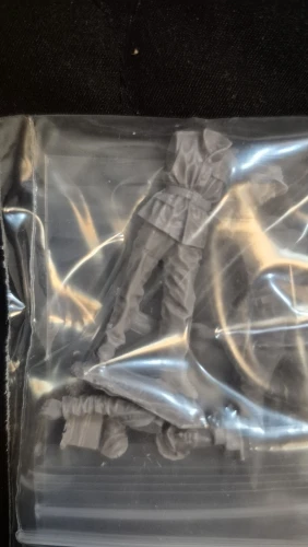 Buyer photo of this resin kit