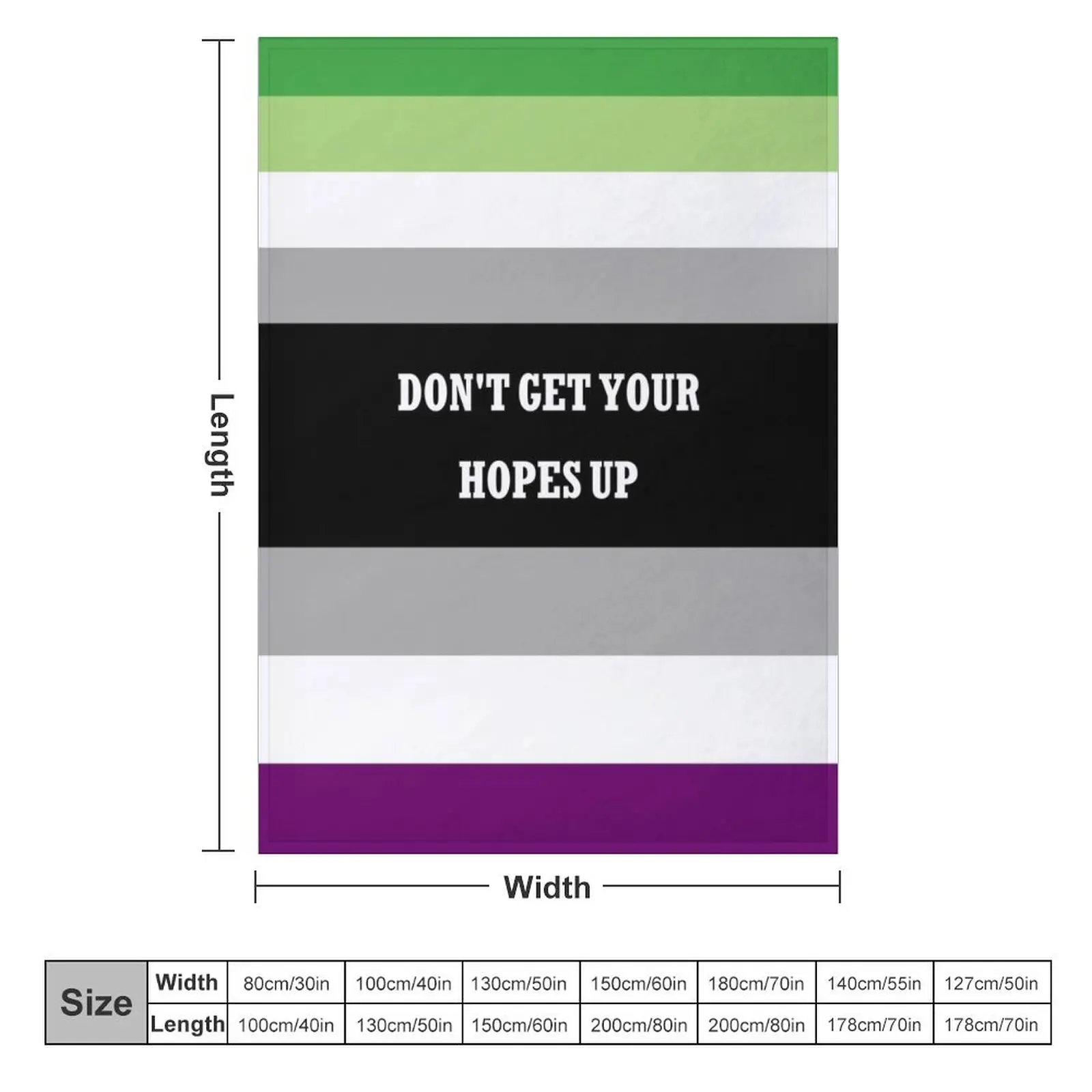 Don't get your hopes up AroAce Flag Throw Blanket valentine gift ideas Decorative Beds Large Flannel Blankets