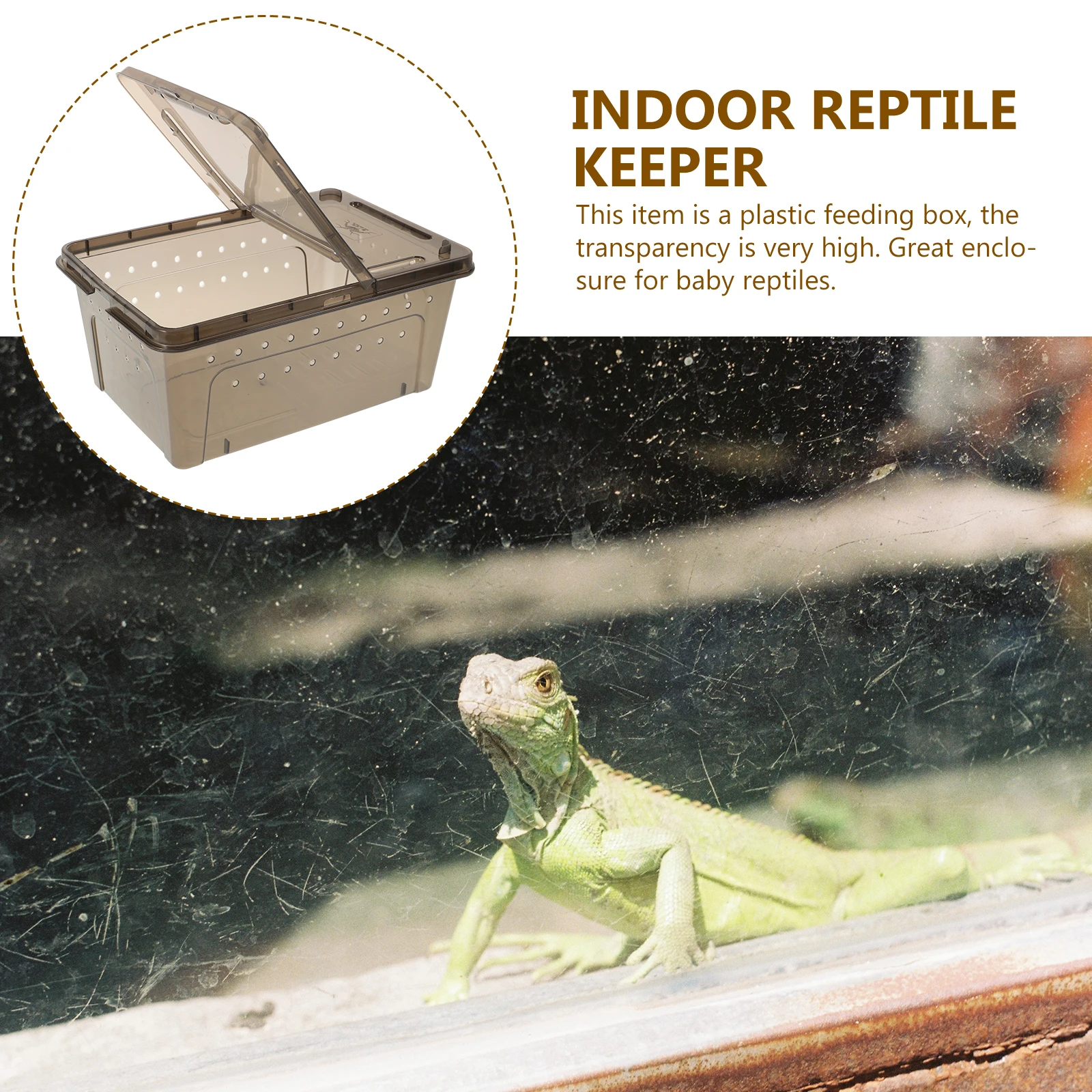 

Middle Size Black Transparent Turtle Breeding Tank Platform for Feeding Raising Aquarium Practical Container Pet Supplies